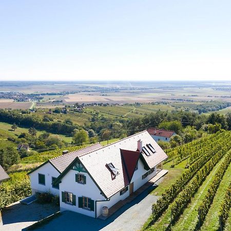 Eisenberg an der Pinka Kellerstoeckl Weinblick I Und IIヴィラ エクステリア 写真