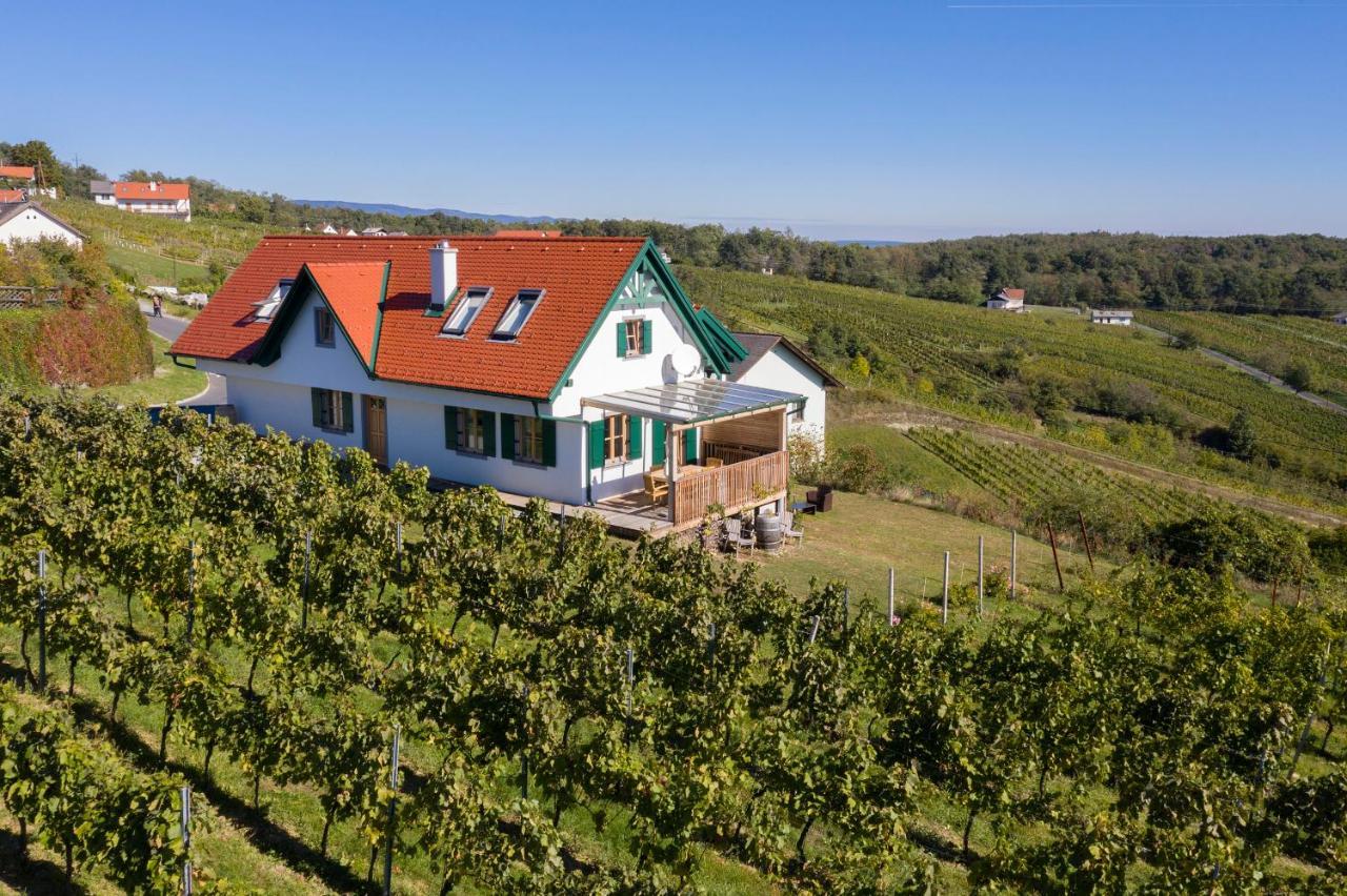 Eisenberg an der Pinka Kellerstoeckl Weinblick I Und IIヴィラ エクステリア 写真