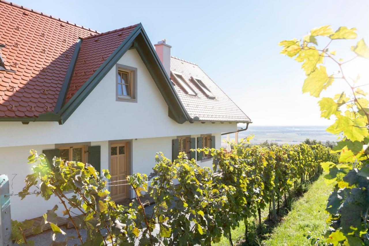 Eisenberg an der Pinka Kellerstoeckl Weinblick I Und IIヴィラ エクステリア 写真