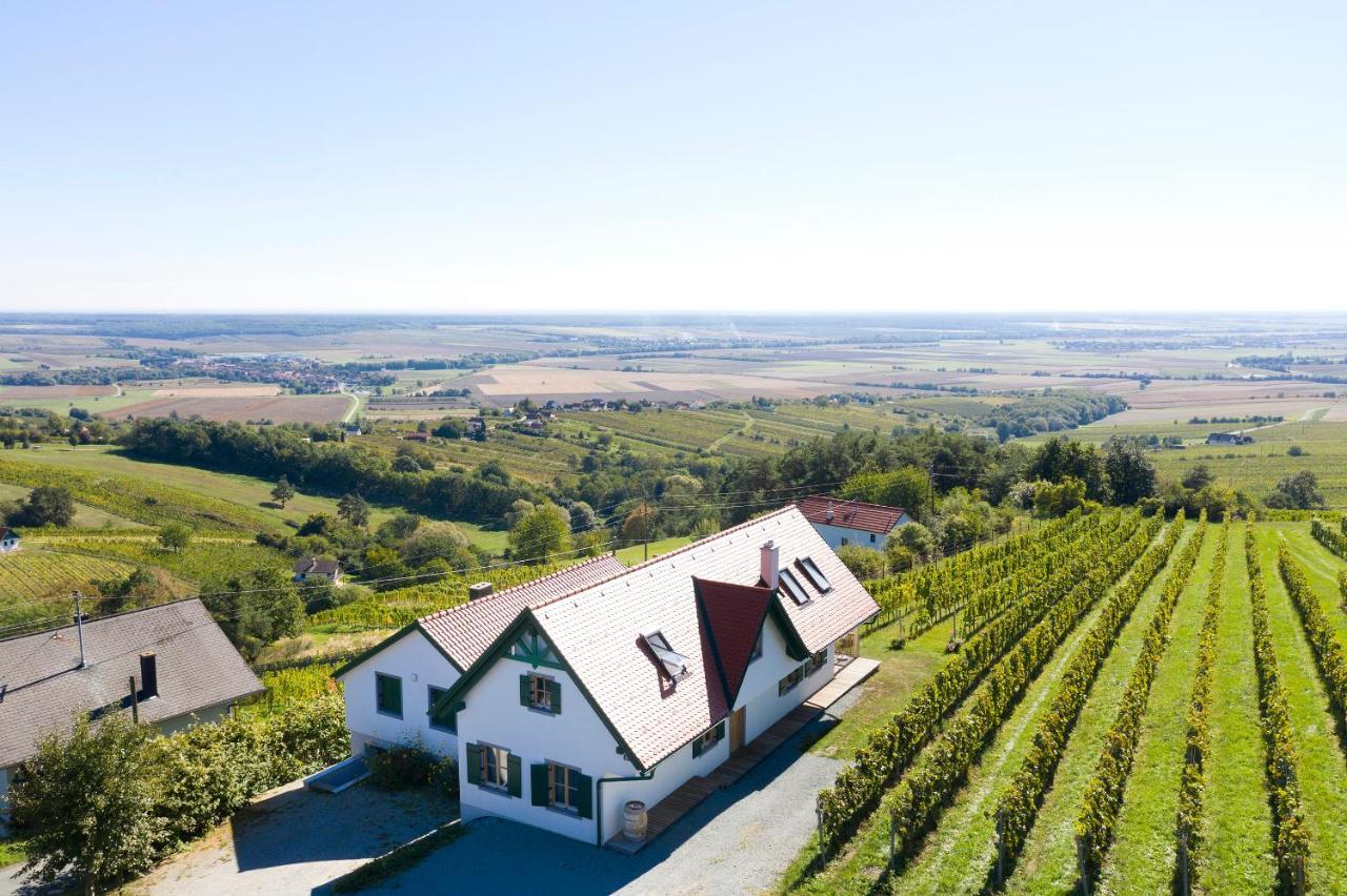 Eisenberg an der Pinka Kellerstoeckl Weinblick I Und IIヴィラ エクステリア 写真