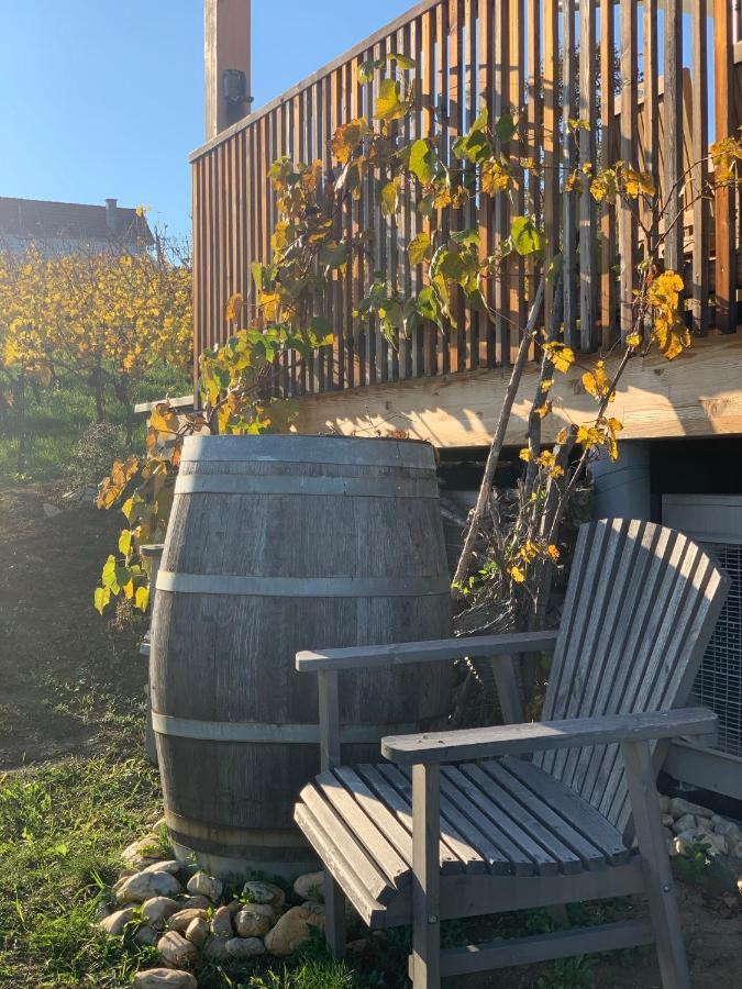 Eisenberg an der Pinka Kellerstoeckl Weinblick I Und IIヴィラ エクステリア 写真