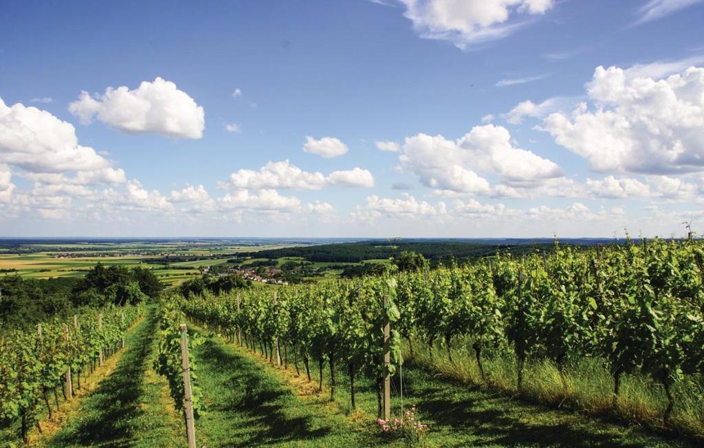 Eisenberg an der Pinka Kellerstoeckl Weinblick I Und IIヴィラ エクステリア 写真