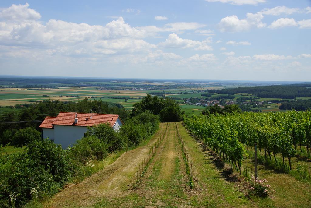 Eisenberg an der Pinka Kellerstoeckl Weinblick I Und IIヴィラ エクステリア 写真